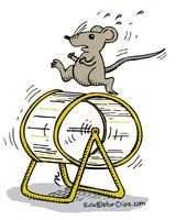 Mouse running on Wheel