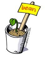 Bean Sprout
